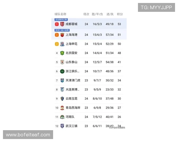 深圳足球队在联合会杯积分榜上以96分稳居第一名 深圳足球队在联合会杯积分榜上以96分稳居第一名