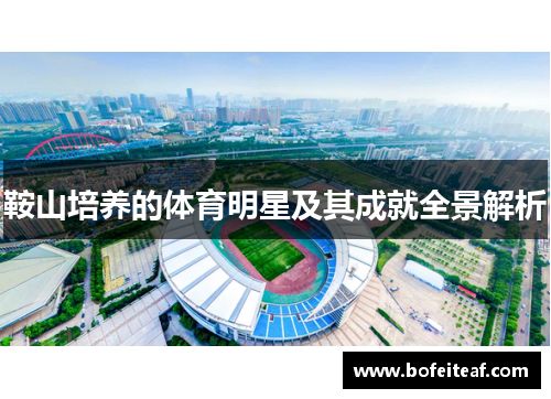鞍山培养的体育明星及其成就全景解析